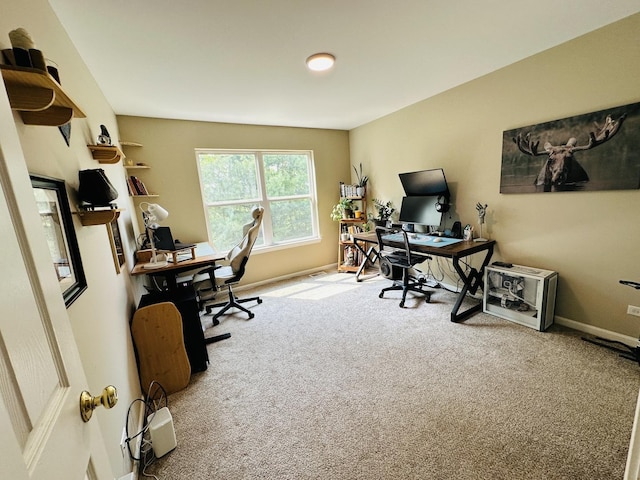 963 Oak Ridge Blvd, Elgin, IL 60120 - carpeted office featuring baseboards