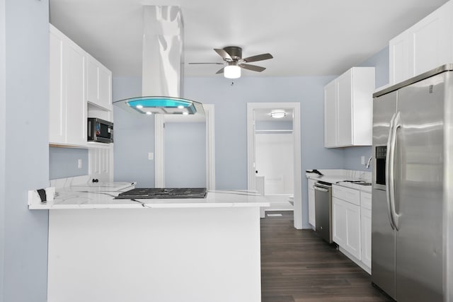 306 Barry Ave, Lockport, IL 60441 - kitchen with appliances with stainless steel finishes, island range hood, a ceiling fan, and white cabinets