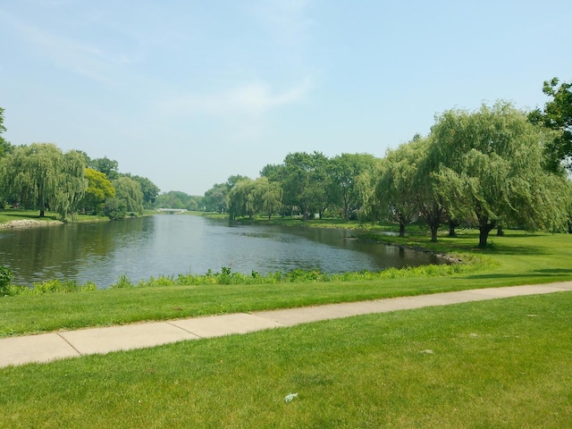 2051 Creekside Dr Unit 2-2, Wheaton, IL 60189 - water view