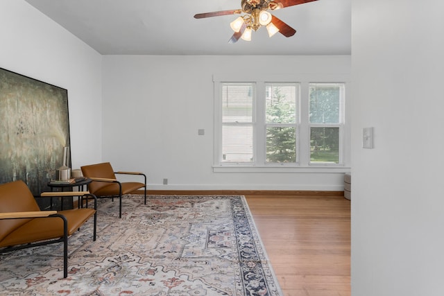 808 W Green St, Champaign, IL 61820 - photo 24