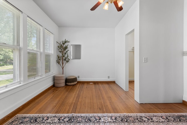 808 W Green St, Champaign, IL 61820 - photo 26