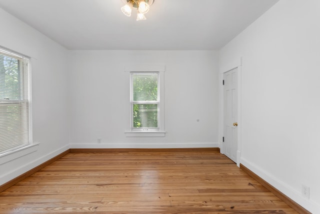 808 W Green St, Champaign, IL 61820 - photo 30