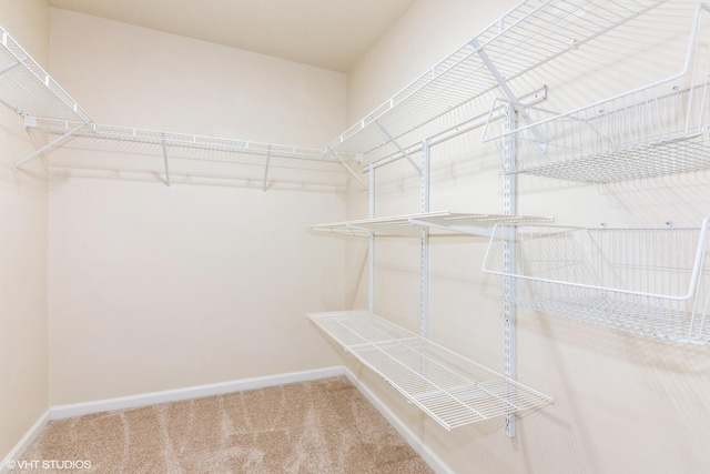 516 N Wilke Rd Unit 105, Palatine, IL 60074 - spacious closet with carpet floors