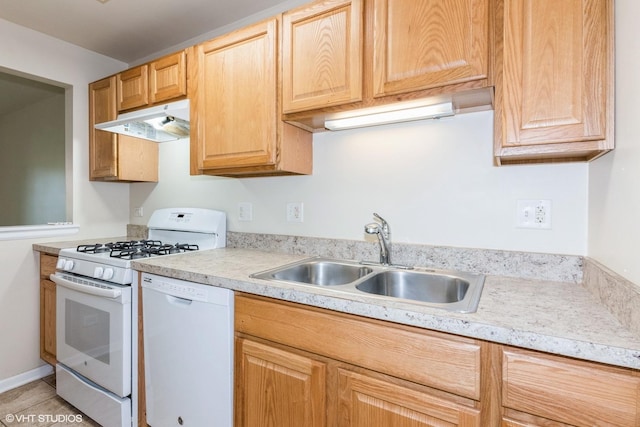 516 N Wilke Rd Unit 105, Palatine, IL 60074 - kitchen with under cabinet range hood, white appliances, a sink, and light countertops