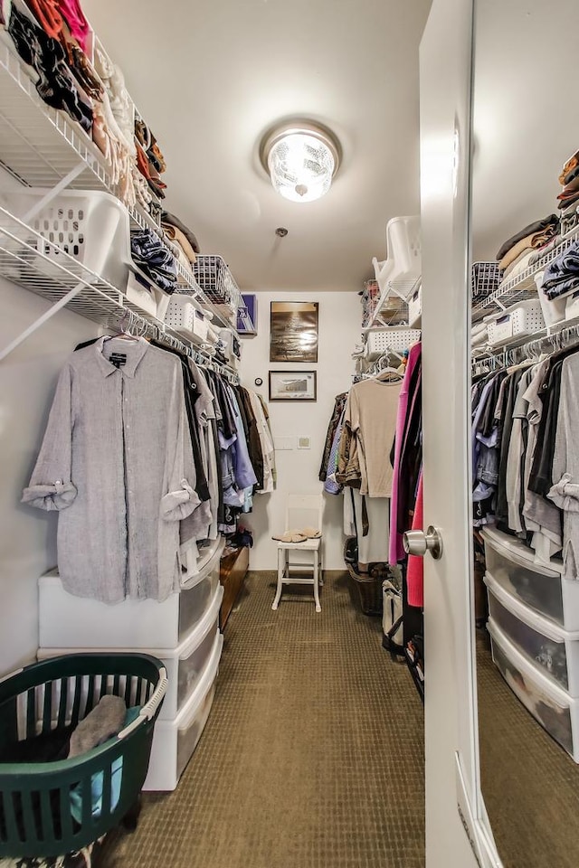 2050 Arbor Ln Unit 301, Northfield, IL 60093 - spacious closet featuring carpet