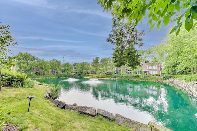 2050 Arbor Ln Unit 301, Northfield, IL 60093 - water view