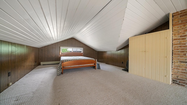110 E Center St, Mount Morris, IL 61054 - carpeted bedroom with lofted ceiling, a baseboard heating unit, and wooden walls