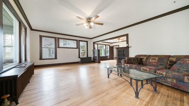 110 E Center St, Mount Morris, IL 61054 - living area featuring a ceiling fan, light wood-type flooring, crown molding, and baseboards