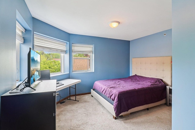 35 Terrace Ln Unit C, Lake Zurich, IL 60047 - bedroom featuring carpet floors and an office area