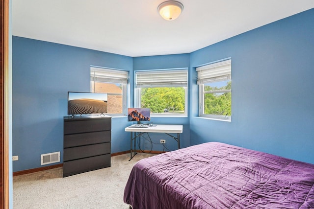 35 Terrace Ln Unit C, Lake Zurich, IL 60047 - bedroom with carpet and baseboards