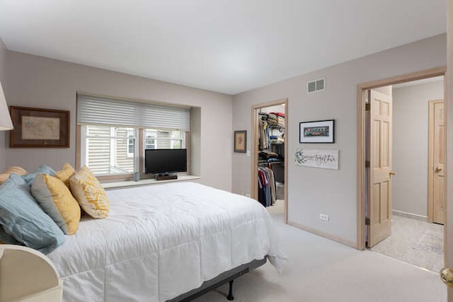 1580 Aberdeen Ct Unit 1580, Naperville, IL 60564 - bedroom with a spacious closet, carpet flooring, a closet, and baseboards