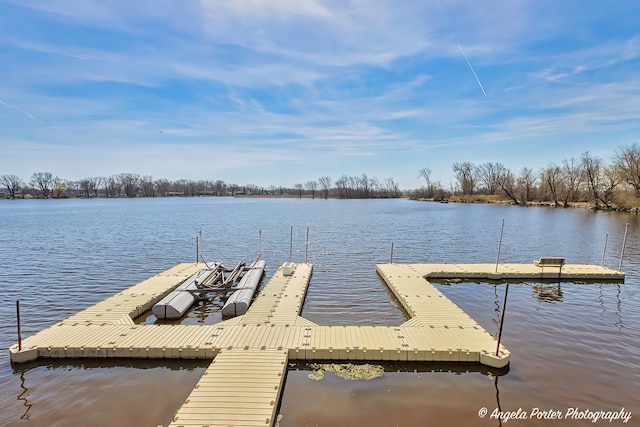 41653 N Lotus Ave, Antioch, IL 60002 - dock area with a water view