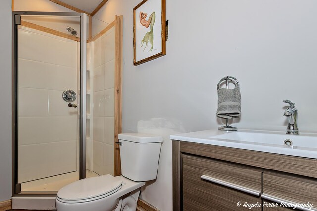 41653 N Lotus Ave, Antioch, IL 60002 - bathroom with a stall shower and vanity