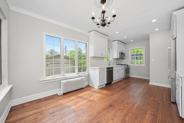734 Forest Rd, La Grange Park, IL 60526 - kitchen with radiator, premium appliances, light countertops, a chandelier, and a sink