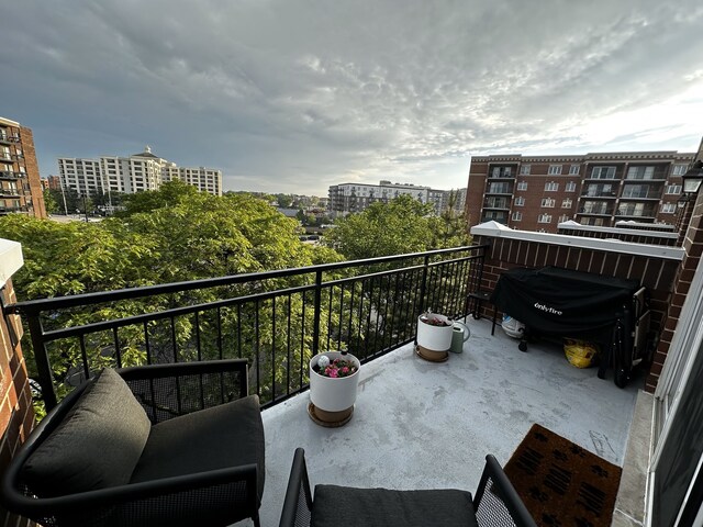 1675 Mill St Unit 505, Des Plaines, IL 60016 - balcony with a view of city