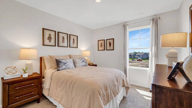 13603 S Carmel Blvd, Plainfield, IL 60544 - bedroom featuring light carpet and baseboards