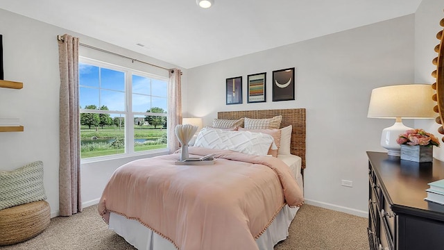 13603 S Carmel Blvd, Plainfield, IL 60544 - bedroom featuring light carpet and baseboards