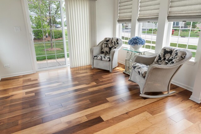 552 Autumn Cir, Pingree Grove, IL 60140 - sitting room with hardwood / wood-style floors, healthy amount of natural light, and baseboards