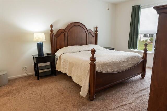 552 Autumn Cir, Pingree Grove, IL 60140 - carpeted bedroom featuring baseboards
