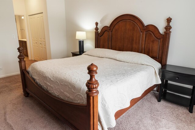 552 Autumn Cir, Pingree Grove, IL 60140 - carpeted bedroom featuring a closet