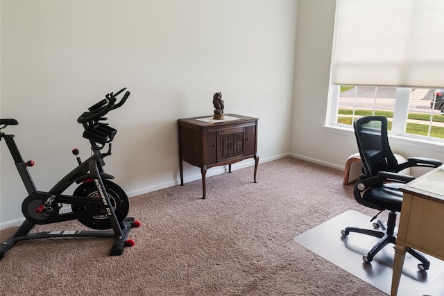 552 Autumn Cir, Pingree Grove, IL 60140 - home office with carpet floors and baseboards