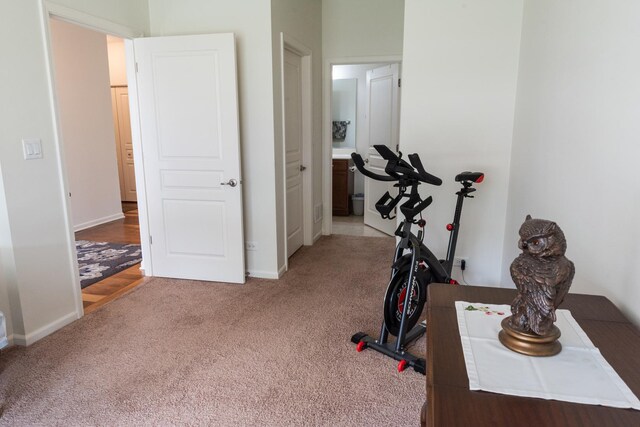 552 Autumn Cir, Pingree Grove, IL 60140 - workout area featuring carpet floors and baseboards