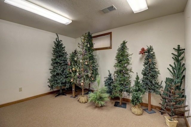 611 Marsha Ln, Rock Falls, IL 61071 - miscellaneous room featuring carpet floors, baseboards, and a textured ceiling
