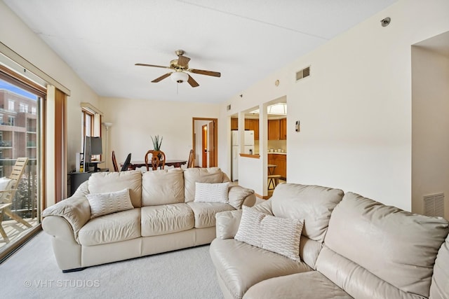 1653 River St Unit 405, Des Plaines, IL 60016 - carpeted living room with a ceiling fan