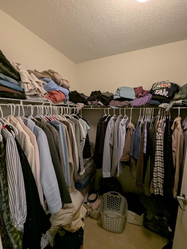 512 N Mcclurg Ct Unit 512, Chicago, IL 60611 - spacious closet with carpet floors