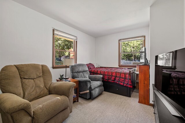 510 W Dolph St, Yorkville, IL 60560 - photo 11