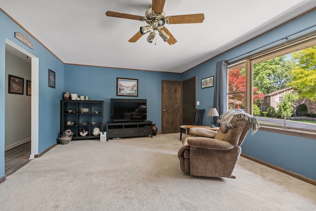 510 W Dolph St, Yorkville, IL 60560 - photo 7