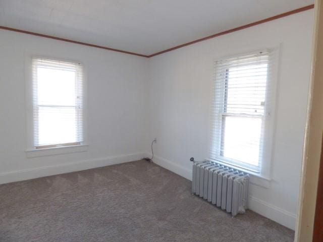 516 Spring St, Galena, IL 61036 - empty room with radiator heating unit, crown molding, carpet flooring, and baseboards