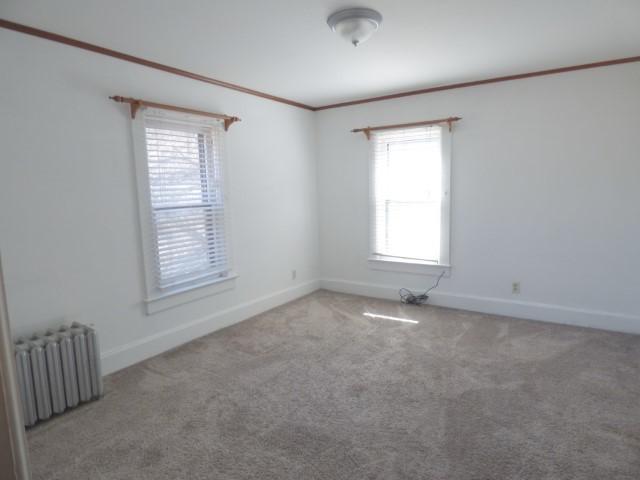 516 Spring St, Galena, IL 61036 - carpeted empty room with radiator, crown molding, and baseboards