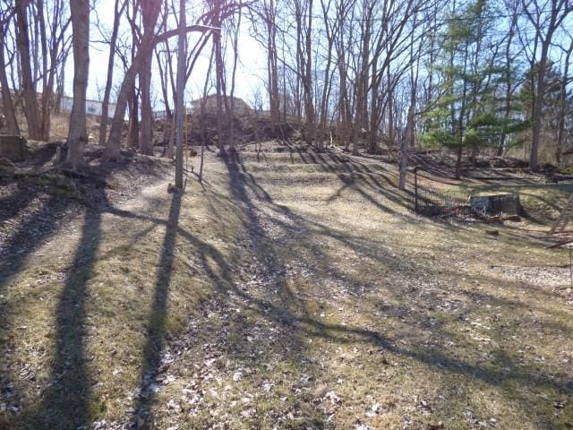 516 Spring St, Galena, IL 61036 - view of yard