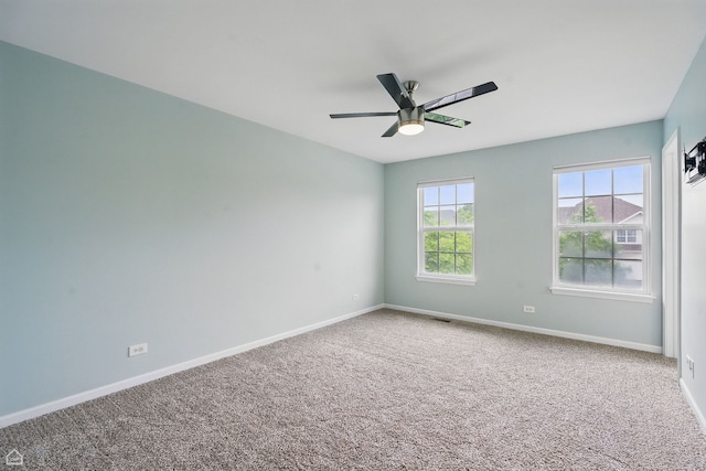 465 Blue Heron Cir, Bartlett, IL 60103 - photo 28