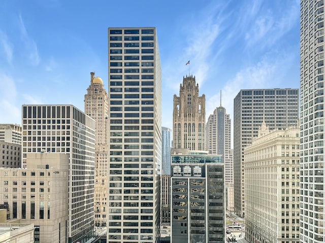 440 N Wabash Ave Unit 2008, Chicago, IL 60611 - view of city skyline