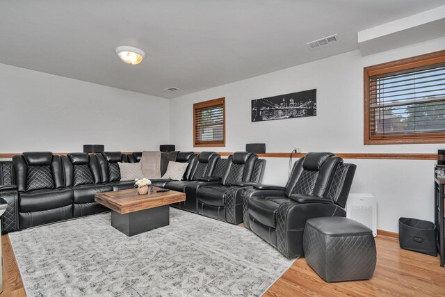 2111 Hastings Dr, Plainfield, IL 60586 - cinema with light wood-style floors and baseboards