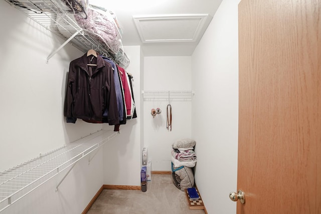 3503 Blue Ridge Ct, Carpentersville, IL 60110 - spacious closet with carpet floors and attic access