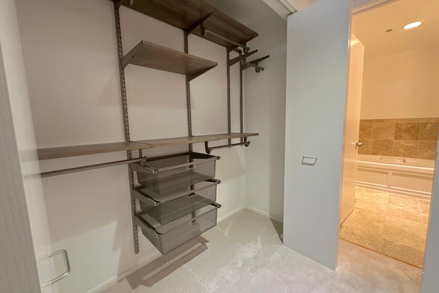 65 E Monroe St Unit 4203, Chicago, IL 60603 - spacious closet featuring carpet