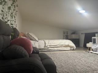 7612 W Saint Francis Rd Unit 7612, Frankfort, IL 60423 - view of bedroom