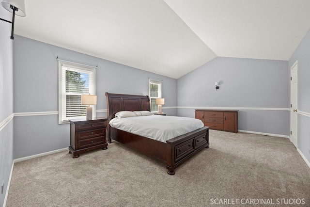 1630 Lois Ann Ln, Naperville, IL 60563 - bedroom with lofted ceiling and light carpet