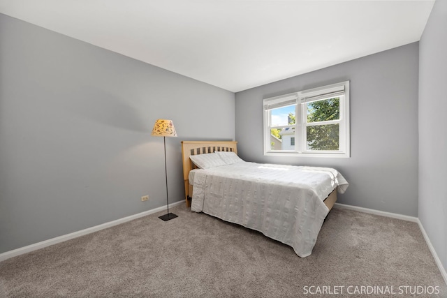 1630 Lois Ann Ln, Naperville, IL 60563 - bedroom featuring carpet floors