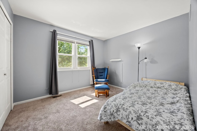 1630 Lois Ann Ln, Naperville, IL 60563 - carpeted bedroom featuring baseboards and a closet