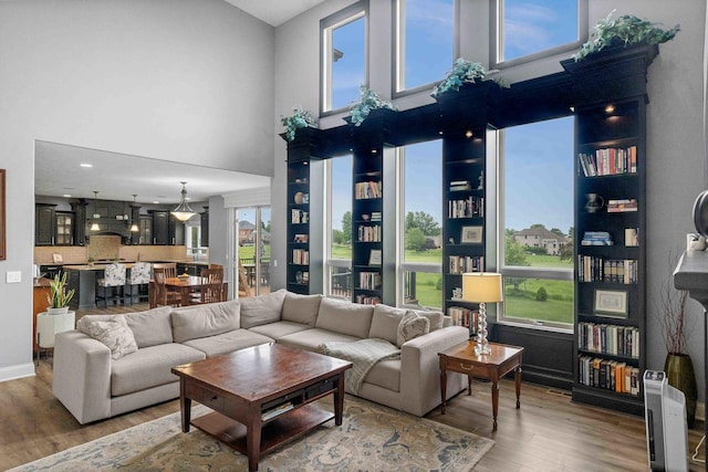 4 Emerald Crest Ct, Bloomington, IL 61705 - living area featuring a high ceiling, wood finished floors, and plenty of natural light