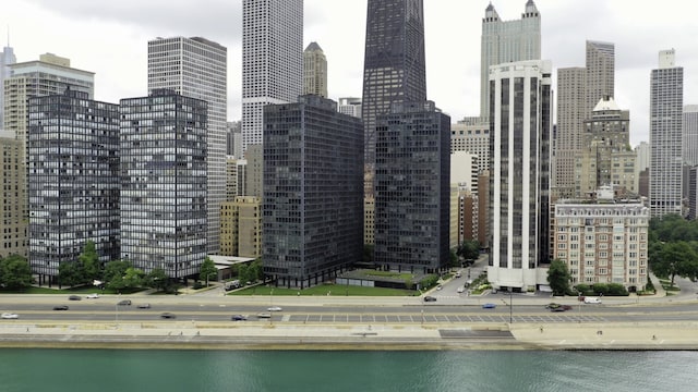 900 N Lake Shore Dr Unit 1104, Chicago, IL 60611 - skyline view with a large body of water