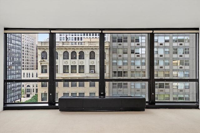 900 N Lake Shore Dr Unit 1104, Chicago, IL 60611 - detailed view of carpet and a view of city