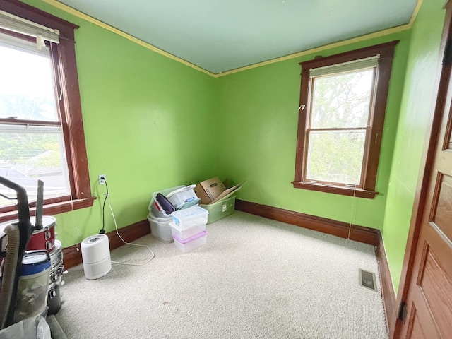645 E Calhoun St, Woodstock, IL 60098 - interior space with plenty of natural light, carpet flooring, and crown molding