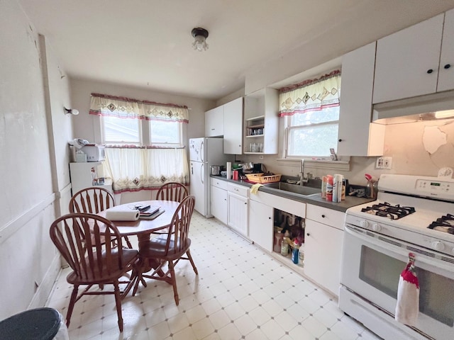 645 E Calhoun St, Woodstock, IL 60098 - kitchen featuring white appliances, light floors, healthy amount of natural light, and white cabinets