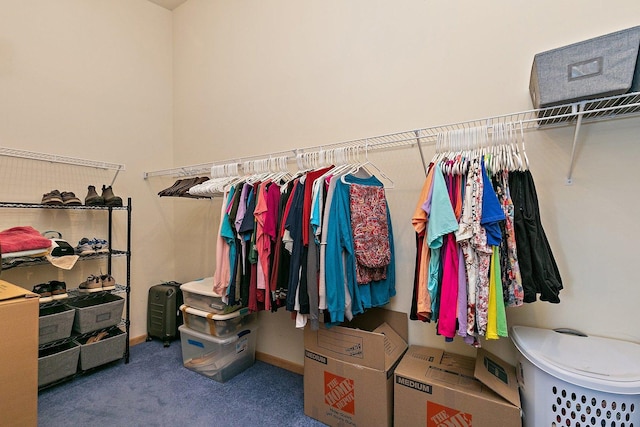 2040 Honey Locust Dr, Algonquin, IL 60102 - spacious closet featuring carpet