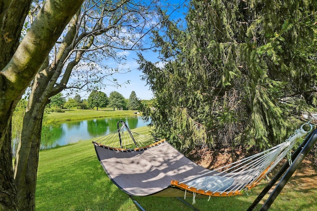 2730 Lorraine Cir, Geneva, IL 60134 - view of community with a water view and a lawn